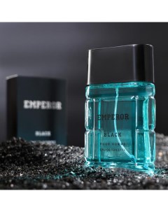 Туалетная вода мужская Emperor Black, 100 мл (по мотивам Sauvage (C.Dior) Delta parfum