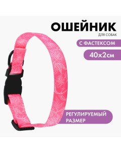 Ошейник My littlle princess, застёжка - фастекс, 2 см 25-40 см Пушистое счастье