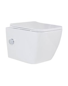 Унитаз подвесной Cube Bidet 530135-01X Roxen