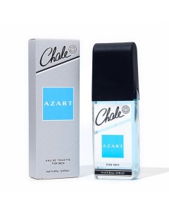 Туалетная вода мужская Chale Azart, 100 мл Positive parfum