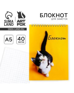 Блокнот А5 на гребне 40 л. «Кот» Artfox