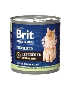 Влажный корм для кошек Brit