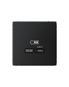 Розетка SE ArtGallery USB С 65Вт высок. заряд. (без рамки) карбон GAL001027 Systeme electric