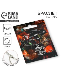 Браслет на ногу «Талисман счастья», 24 см Art beauty