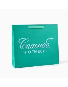 Пакет подарочный «Спасибо, что ты есть», голография, M 30 х 9 х 26 см Дарите счастье