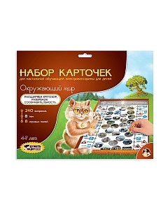 Развивающая игра Десятое королевство