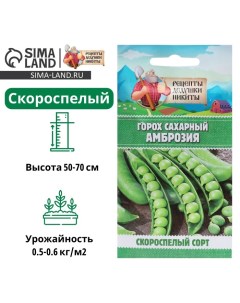 Семена Горох "Амброзия", сахарный, 5 г Рецепты дедушки никиты