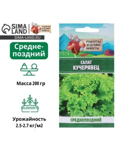 Семена Салат "Кучерявец Одесский", 0,5 г Рецепты дедушки никиты