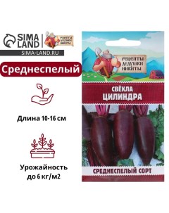 Семена Свёкла "Цилиндра", 2 г Рецепты дедушки никиты