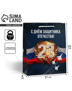 Пакет подарочный ламинированный, упаковка, «Защитник Отечества», ML 21 х 25 х 8 см Доступные радости