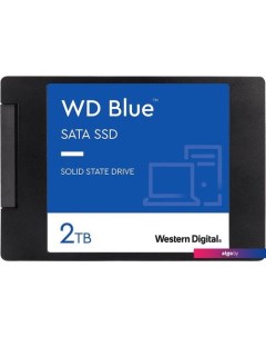 SSD Blue SA510 2TB S200T3B0A Wd