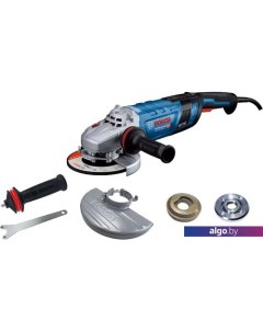 Угловая шлифмашина GWS 30-230 B Professional 06018G1000 Bosch