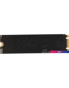 SSD 1TB PCPS001T1 Pc pet