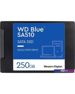 SSD Blue SA510 250GB S250G3B0A Wd