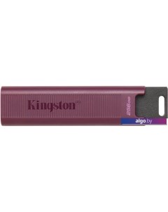 USB Flash DataTraveler Max Type-A 256GB Kingston