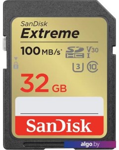 Карта памяти Extreme SDHC SDSDXVT-032G-GNCIN 32GB Sandisk