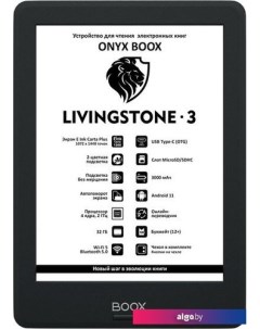 Электронная книга BOOX Livingstone 3 Onyx