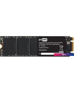 SSD 256GB PCPS256G1 Pc pet