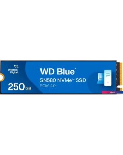 SSD Blue SN580 250GB S250G3B0E Wd