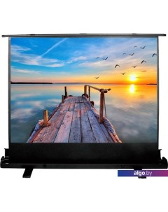 Проекционный экран FloorExpert 113x200 CS-PSFLE-200X113 Cactus