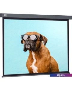 Проекционный экран Wallscreen 149x265 CS-PSW-149X265-SG Cactus