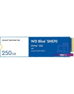 SSD Blue SN570 250GB S250G3B0C Wd