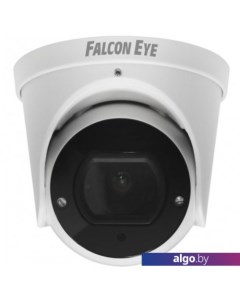 IP-камера FE-IPC-DV2-40pa Falcon eye