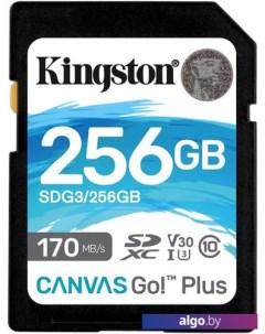 Карта памяти Canvas Go! Plus SDXC 256GB Kingston