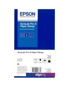 Фотобумага SureLab Pro-S Glossy BP 203мм x 65м 252 г/м2 C13S450063BP (2 шт) Epson