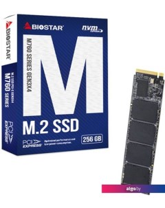 SSD M760 256GB M760-256GB Biostar