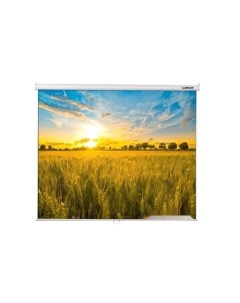 Проекционный экран Eco Picture 178x280 LEP-100124 Lumien