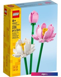 Конструктор Creator Expert 40647 Цветы лотоса Lego