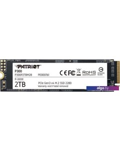 SSD P300 2TB P300P2TBM28 Patriot