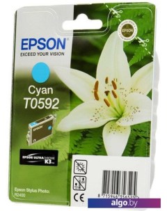 Картридж C13T05924010 Epson