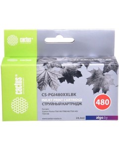 Картридж CS-PGI480XXLBK (аналог Canon PGI-480XXL PGBK) Cactus