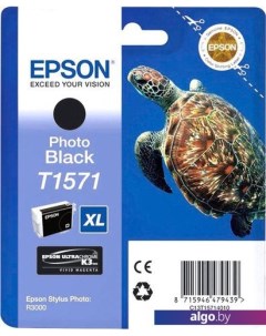 Картридж C13T15714010 Epson