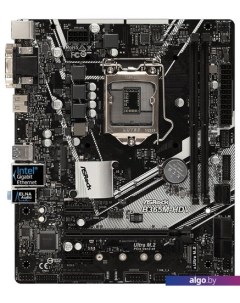 Материнская плата B365M-HDV Asrock