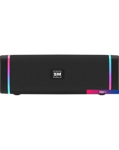 Беспроводная колонка SM-PS5019B (черный) Soundmax