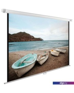 Проекционный экран WallExpert 220x138 CS-PSWE-220x138-WT Cactus