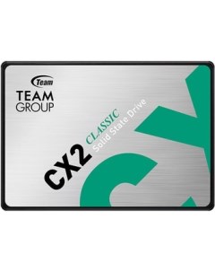 SSD CX2 1TB T253X6001T0C101 Team