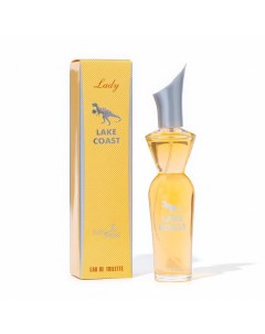 Туалетная вода женская Lady Lake Coast, 50 мл Positive parfum