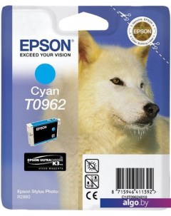 Картридж C13T09624010 Epson