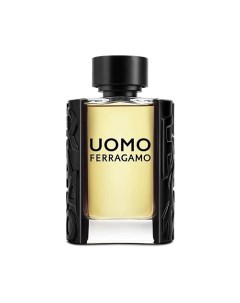 Туалетная вода Uomo 100 Ferragamo