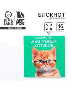 Блокнот 10х10, 16 листов «Кот» Artfox