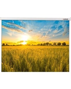 Проекционный экран Eco Picture 203x203 LEP-100109 Lumien