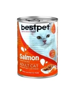 Влажный корм для кошек Bestpet