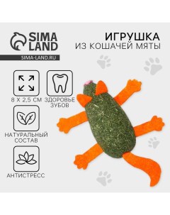 Игрушка для кошек «Кот» из кошачьей мяты, 8 х 2.5 см Пушистое счастье