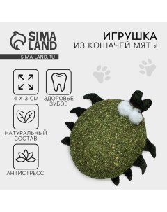 Игрушка для кошек «Жучок» из кошачьей мяты, 4 х 3.5 см Пушистое счастье