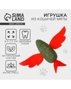 Игрушка для кошек «Птичка» из кошачьей мяты, 8 х 2.5 см Пушистое счастье