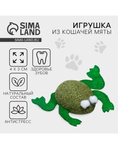 Игрушка для кошек «Лягушка» из кошачьей мяты, 4 х 3 см Пушистое счастье